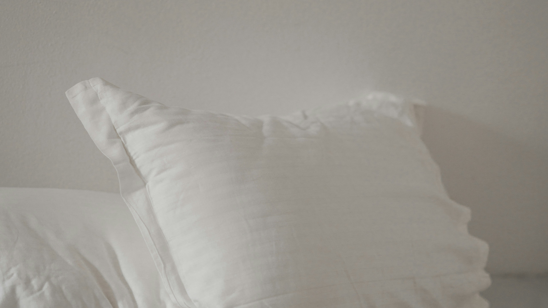 Désinsectisation efficace des punaises de lit à Maisons-Alfort : comment s'y prendre ?